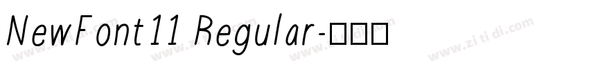 NewFont11 Regular字体转换